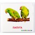 Карточки-мини Птицы (укр) Зірка 72753