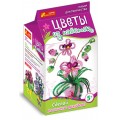 Цветы из пайеток Орхидея Creative 115100058Р