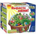 Набор для экспериментов Чайная поляна Creative 15114006Р