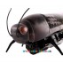 Микро-робот муха  Beetle Fluorescent на и/к управлении Cute Sunlight CS-775