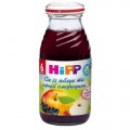 Сок Hipp Из черной смородины и яблок (с 6 мес.) 200 мл.